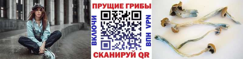 Псилоцибиновые грибы мухоморы  Соликамск 