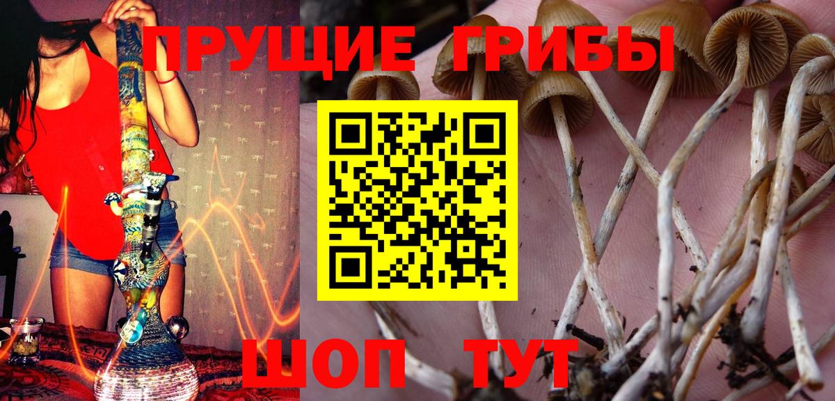 Псилоцибиновые грибы мицелий Соликамск