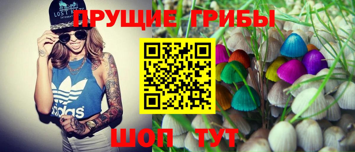 Псилоцибиновые грибы GOLDEN TEACHER  Псилоцибиновые грибы ЛСД  Соликамск  Вход с VPN 