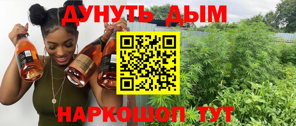 Бошки марихуана планчик  Конопля AK-47  Бошки марихуана планчик  Канабис индика  Соликамск 